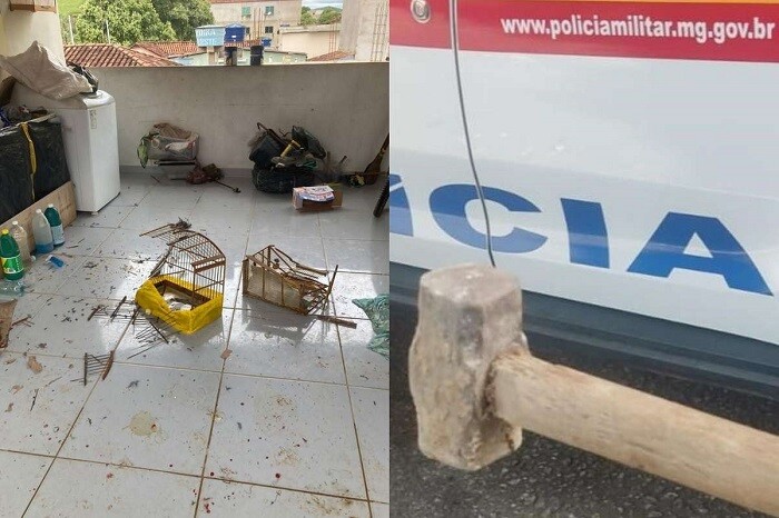 Homem mata cão a marretadas e ameaça família em Minas