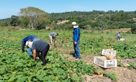 Banco de Alimentos busca novas parceiros para garantia da Segurança Alimentar e Nutricional