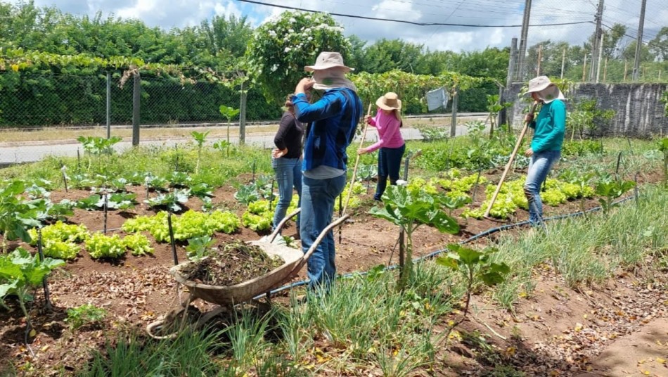 Projeto “Horta Urbana” é implantado no bairro Jardim Morumbi