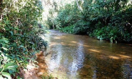 Homem morre afogado em São Roque de Minas