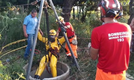 Vaca morre após cair em cisterna com cerca de 20 metros de profundidade em Arcos