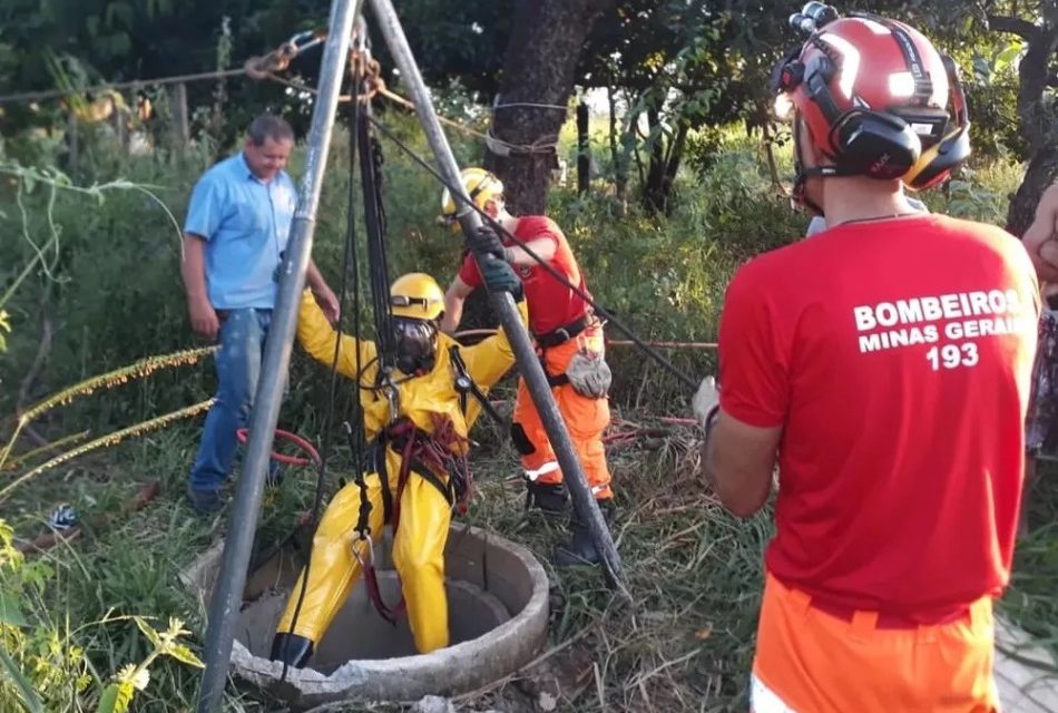 Vaca morre após cair em cisterna com cerca de 20 metros de profundidade em Arcos