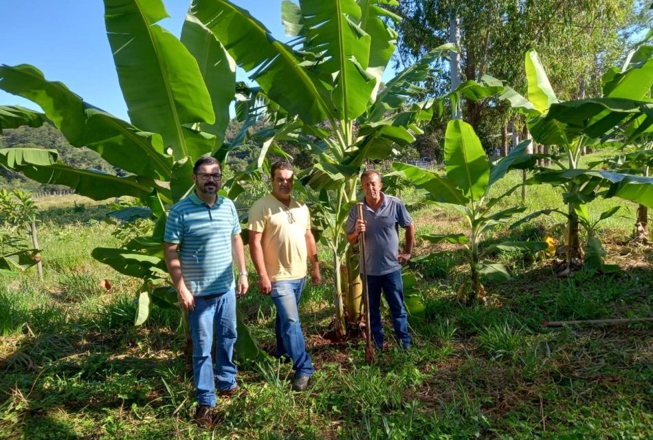 Parceria entre BMA, Unifor-MG e Emater-MG realiza doação de mudas de bananas a produtor