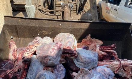 160 kg de carnes e produtos vencidos são apreendidos pela Vigilância Sanitária em Cristais