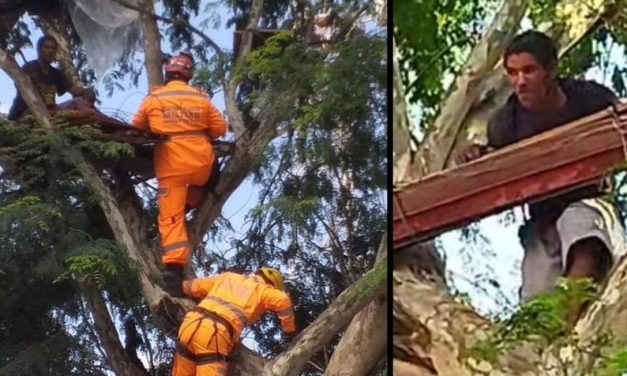Homem faz ‘casa’ em cima de árvore e é resgatado pelos Bombeiros