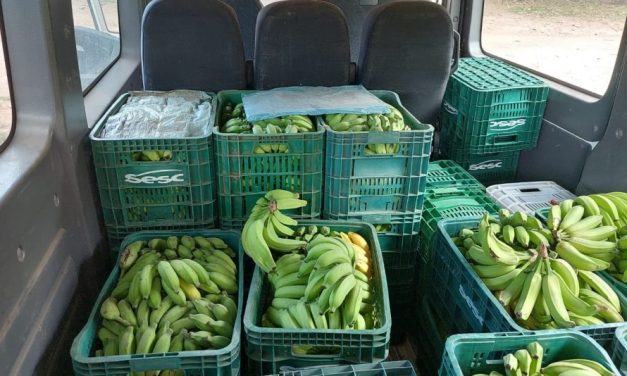 Mais de 6 toneladas de banana e inhame são doadas ao Banco de Alimentos