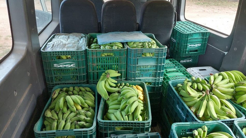 Mais de 6 toneladas de banana e inhame são doadas ao Banco de Alimentos