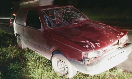 Gado solto na pista provoca acidente na MG-050 em Formiga