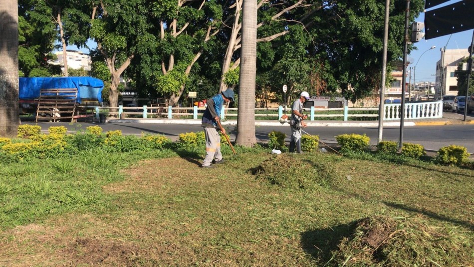 Gestão Ambiental divulga balanço semanal