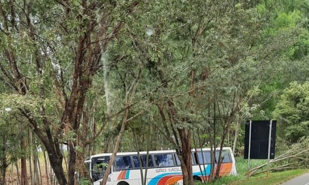 Acidente com ônibus intermunicipal é registrado na MG-050