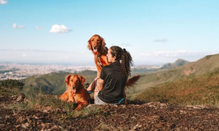 Pesquisa aponta que geração millennial ama mais cães e gatos do que familiares