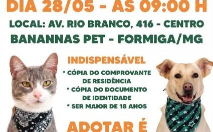 Feira de adoção de cães e gatos ocorre neste sábado