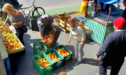 Projeto Feira Solidária recebe doação de mais de 400 kg de alimentos