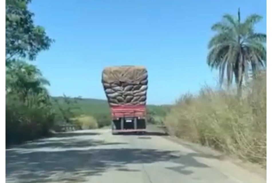 Carga de caminhão se desprende e cai às margens da BR-352, em Pitangui