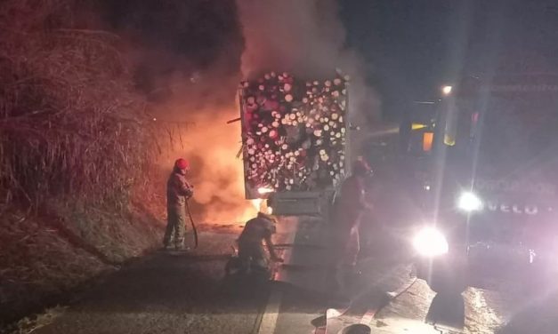 Carreta com eucaliptos pega fogo na BR-262