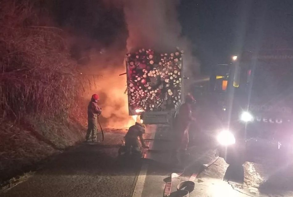 Carreta com eucaliptos pega fogo na BR-262