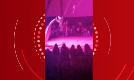 Artista de circo se desequilibra durante apresentação e cai de uma altura de 5 metros em Oliveira