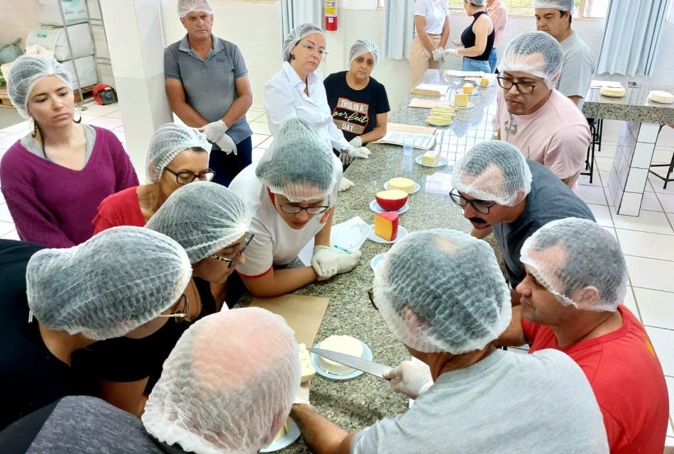 Formiga sedia curso de degustação de queijos