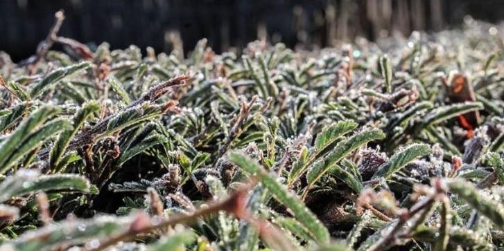 Frente fria que chega a Minas neste fim de semana faz nevar no Sul do país 