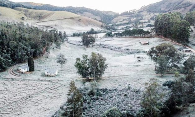 Risco de geada deixa produtores do Sul de Minas em alerta
