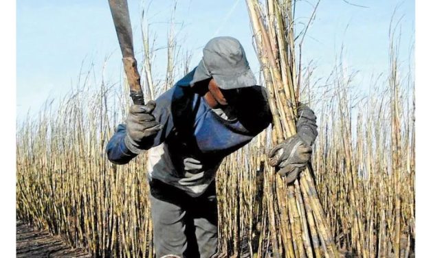 Quarenta e três pessoas são resgatadas em condições análogas à escravidão em Araxá