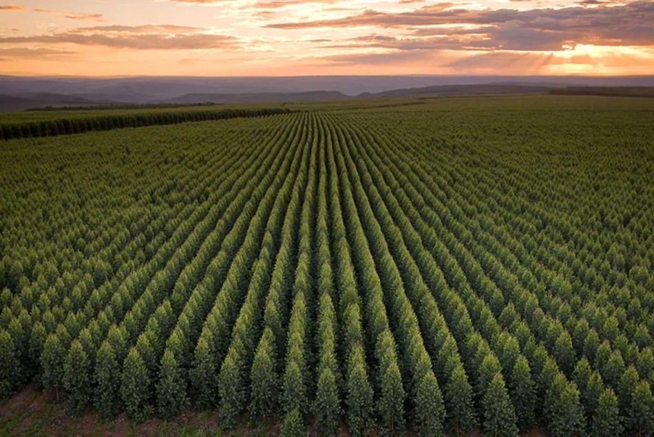 Sem políticas, Brasil vê empresas puxando a fila de reduções de emissões de CO2