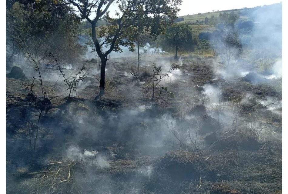 Corpo de Bombeiros combate incêndio em pastagem no bairro Industrial