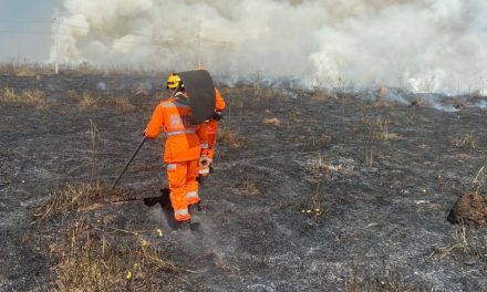 Bombeiros combatem incêndio em Divinópolis