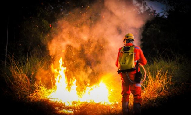 Bombeiros combatem Incêndio em área urbana não protegida em Divinópolis