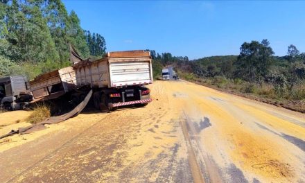 Criança de 6 anos fica ferida após acidente com carreta na BR-354, em Formiga