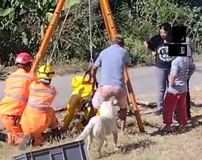 Bombeiros realizam salvamento de bezerro dentro de fossa em Divinópolis