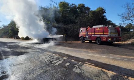 Caminhão pega fogo na BR-423, próximo a Pitangui