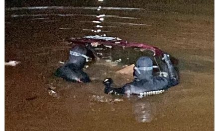 Motorista perde controle de carro e cai dentro de lago em MG