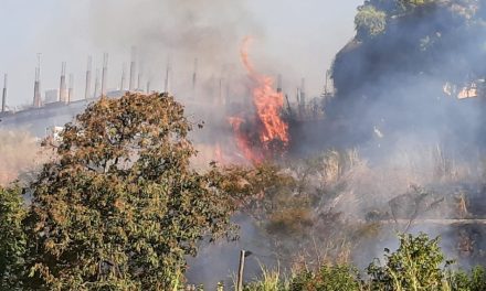 Incêndio é registrado em vegetação no bairro Santo Antônio, em Formiga