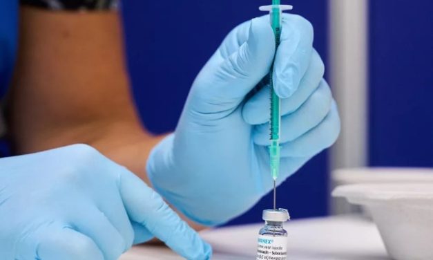 Anvisa aprova liberação de vacina e medicamento contra varíola dos macacos