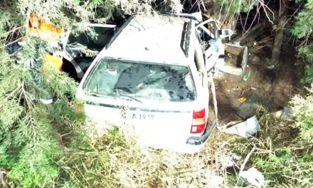 Dois morrem após carro colidir contra árvore no Sul de Minas