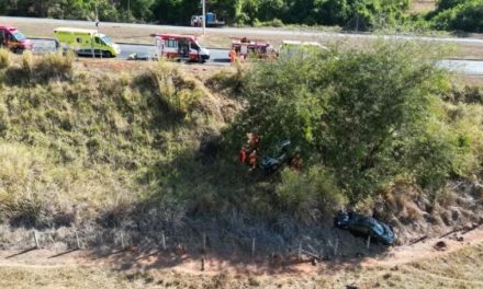 Família fica ferida após carros caírem em ribanceira para desviar de carreta na BR-050