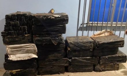 Polícia Federal prende jovem com quase 600 kg de maconha dentro de carro no Sul de Minas