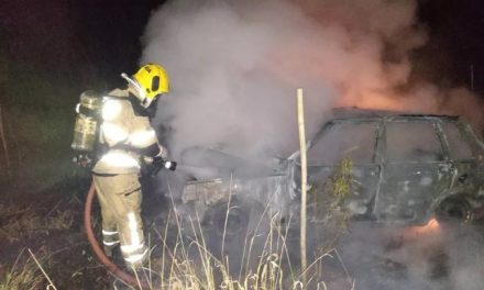 Carro bate de frente com cavalo e pega fogo na BR-381, em Oliveira