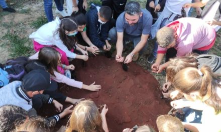 Gestão Ambiental retoma atividades educativas no Parque do Jequitibá