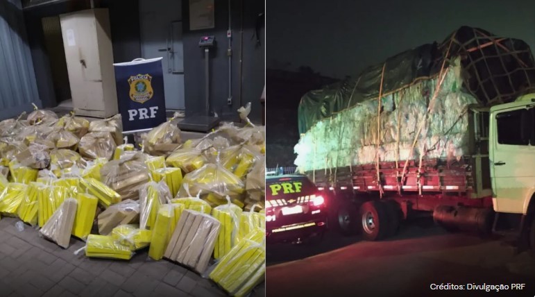 PRF apreende mais de 1 tonelada de maconha em caminhão na BR-262