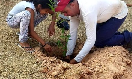 Dia da Árvore é comemorado com plantio no Cras 4