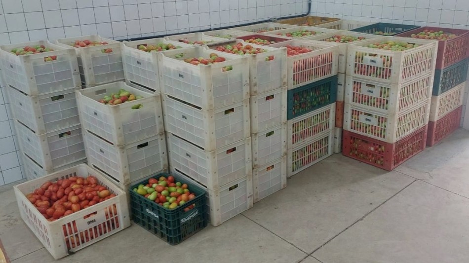 Banco de Alimentos captou mais de 7,2 toneladas de alimentos nesta semana