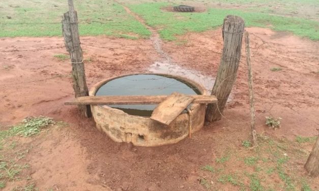 Bebê de 1 ano morre afogado após cair em cocho de água em Minas
