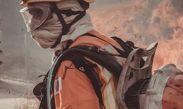 Bombeiros combatem incêndio florestal em Divinópolis