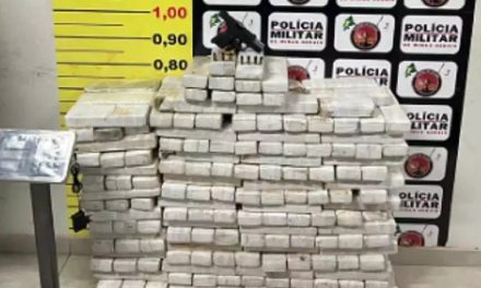 PM encontra mais de 200 kg de maconha em chácara