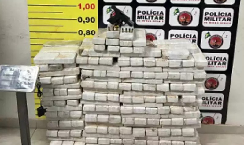PM encontra mais de 200 kg de maconha em chácara