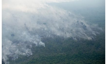 Alertas de desmatamento na Amazônia têm pior outubro da série histórica, aponta Inpe