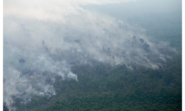 Alertas de desmate na Amazônia têm segundo pior agosto na série histórica, aponta Inpe