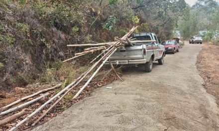 Aposentado de 68 anos morre após ser arremessado de carroceria de caminhonete em MG